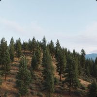 a view of a hill in the
        okanagan